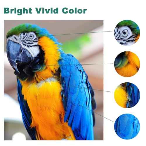 Compatible Sawgrass SG500 Sublimation Ink Replacement for Sawgrass SG500 SG1000 Sublimation Printer Ink, High Capacity, Upgraded Chip, No AB Serial Number (SG500/SG1000 BK/C/M/Y 4-Pack)