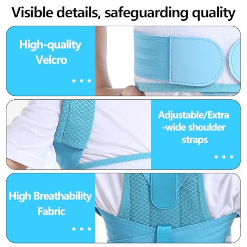 Posture Corrector for Kids,Adjustable Children Posture Corrector for Boys/Girls,Breathable Back Support Belt with Spine Lumbar Shoulder Braces for Hunchback，Spine Corrector (Blue, Large)