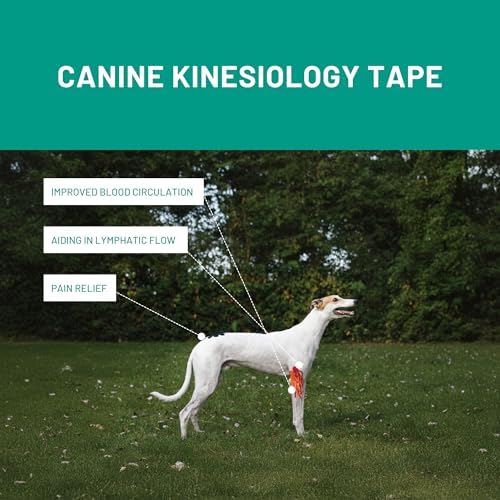 VETKIN VetkinTape® Veterinary Kinesiology Tape | Tape for Horses & Dogs | Equine & Canine Kinesiotape | Latex Free and Quality Mark Certified Ktape | 1.2 inch | Pack of 2 Rolls (Orange)