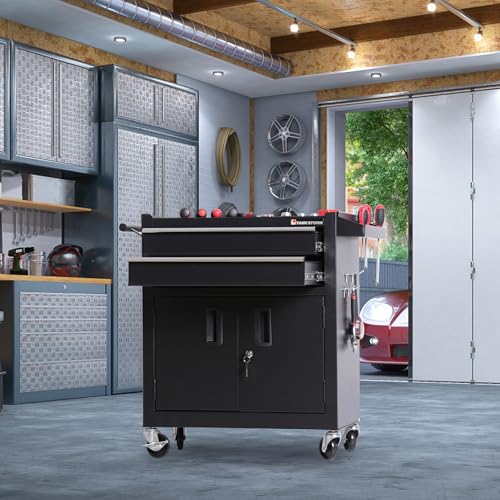 TANKSTORM Tool Chest Heavy Duty Cart Steel Rolling Tool Box with Lockable Doors (TZ12 Black)
