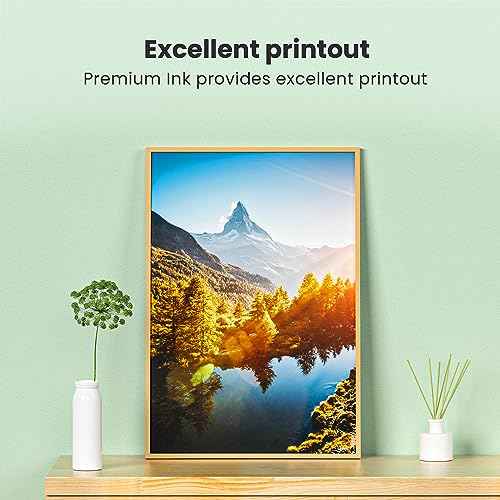 LC3029XXL Ink Cartridges Super High Yield Compatible Replacement for Brother LC3029 Ink Cartridges MFC-J5830DW MFC-J5830DWXL MFC-J5930DW MFC-J6535DW MFC-J6535DWXL MFC-J6935DW Printer, 5 Pack
