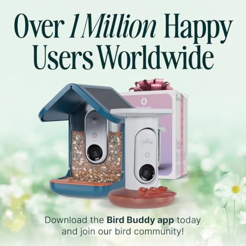 Birdbuddy PRO Non Solar Smart Bird Feeder with Camera - AI Bird Species Identification, 5MP Photos, 2K HD Video Live Stream Camera, Slow-Motion Video, 2.6in Focus - Blue - Non Solar