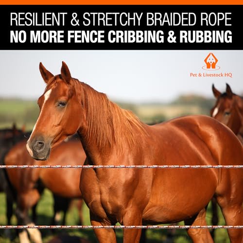 Pet & Livestock HQ - 1000ft Electric Polybraid Fence with 100 Insulators - 2 Product Bundle