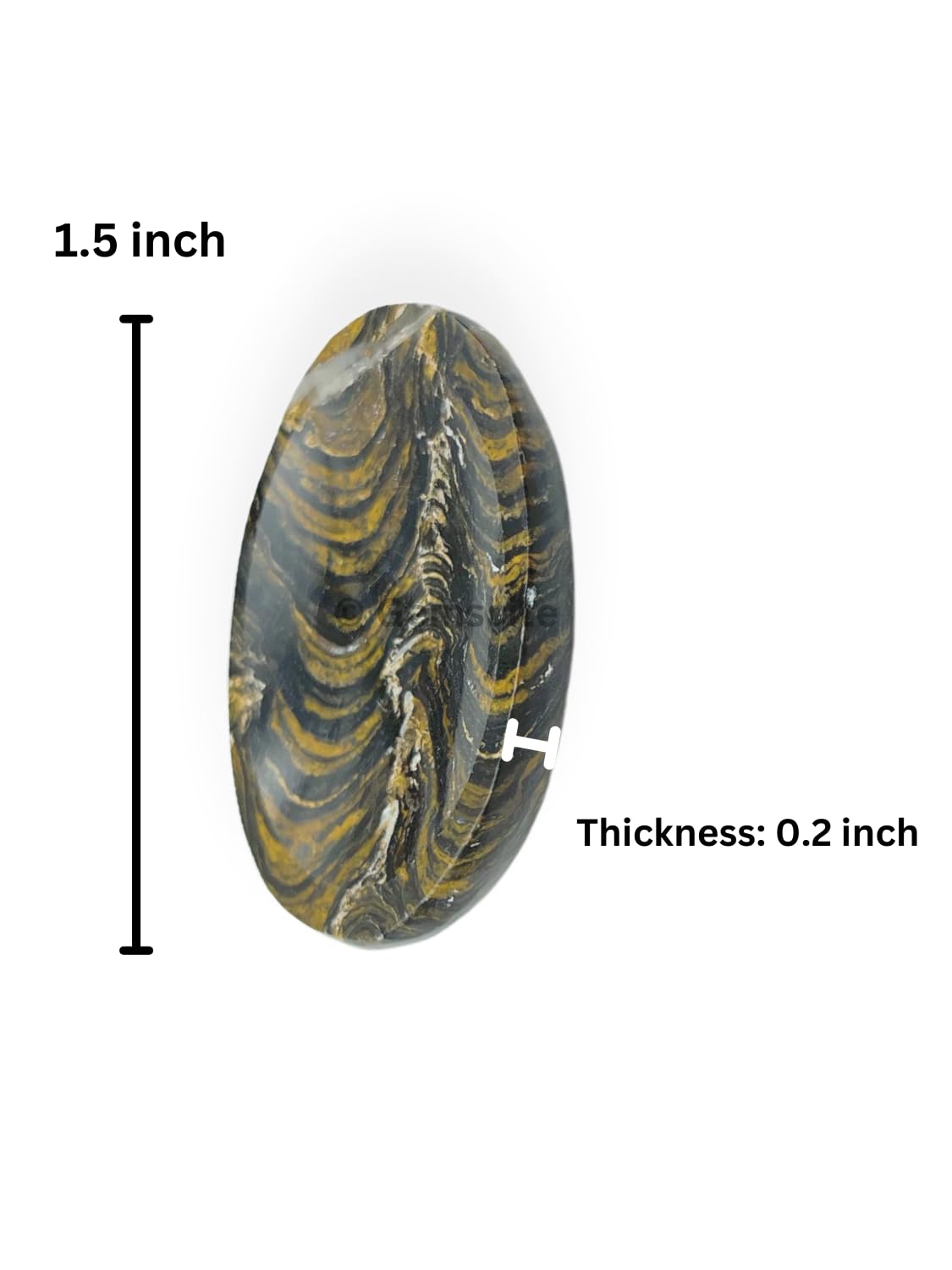 GEMSCITE Stromatolite Thumb Worry Stones Metaphysical Gemstone Crystal Healing Reiki Men Women Gift FENG Shui Positive Energy Love Wellness Palm Stones Wicca Powerful