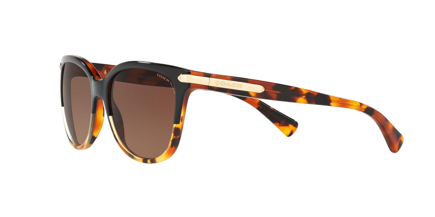 COACH HC8132 Sunglasses, Black Tortoise Gradient/Brown Gradient Polarized, 57 mm