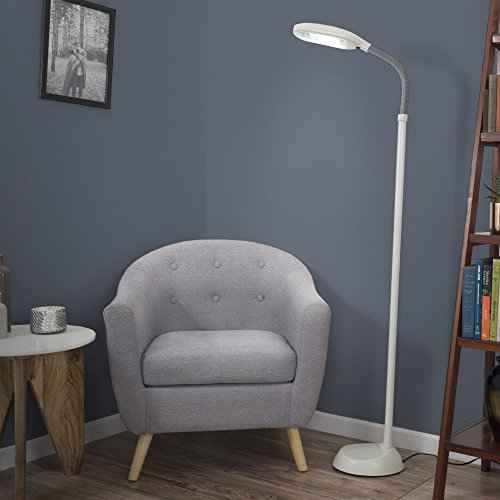 Adjustable Floor Lamp - Full Spectrum Natural Sunlight Lamp with Bendable Neck - Reading, Crafting, Esthetician Floor Light by Lavish Home (Beige)