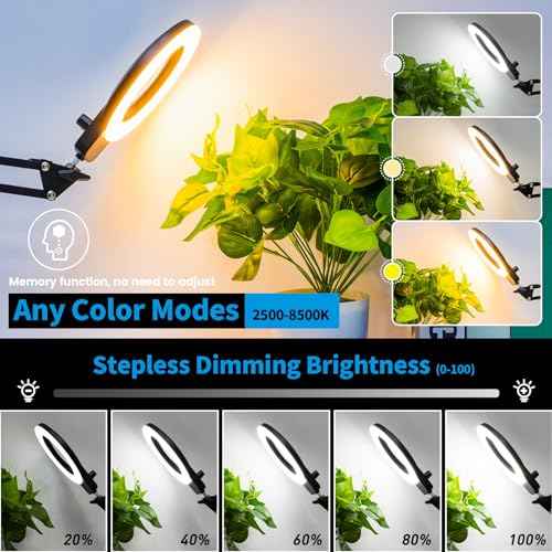 KIRKAS 12X Magnifying Glass with Light and Stand, 2-in-1 Any Color Modes & Stepless Brightness Magnifying Desk Lamp with Clamp, LED Magnifier with Light for Crafts Jewelry Painting Sewing Close Work