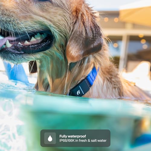 Fi New Series 3+ Smart Dog Tracker Collar [12 Month Membership Included] GPS Tracker for Dogs with Health & Behavior Monitoring, Escape Alerts, Waterproof, LED, Apple Watch Compatible (Blue, Large)