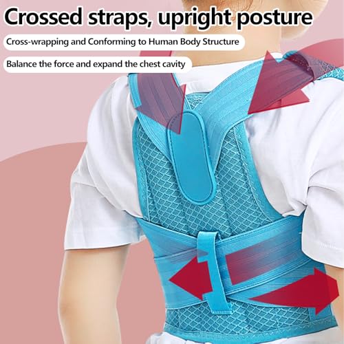 Posture Corrector for Kids,Adjustable Children Posture Corrector for Boys/Girls,Breathable Back Support Belt with Spine Lumbar Shoulder Braces for Hunchback，Spine Corrector (Blue, Small)