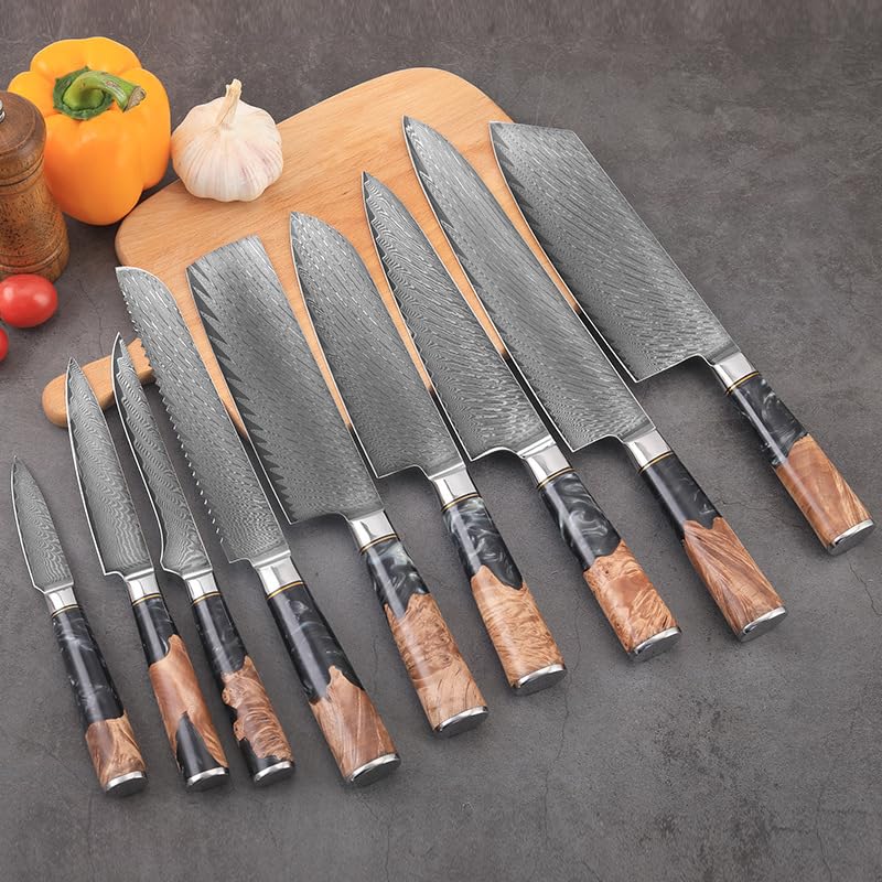 9 PCS Damascus Kitchen Knife Set - 67-Layer High-Carbon Damascus Steel, Pro Chef/Slicing/Utility/Paring Knives & Sharp Cleaver, Ergonomic Rosewood Handles, Ideal for Home/Pro Cooks (Black 9J)