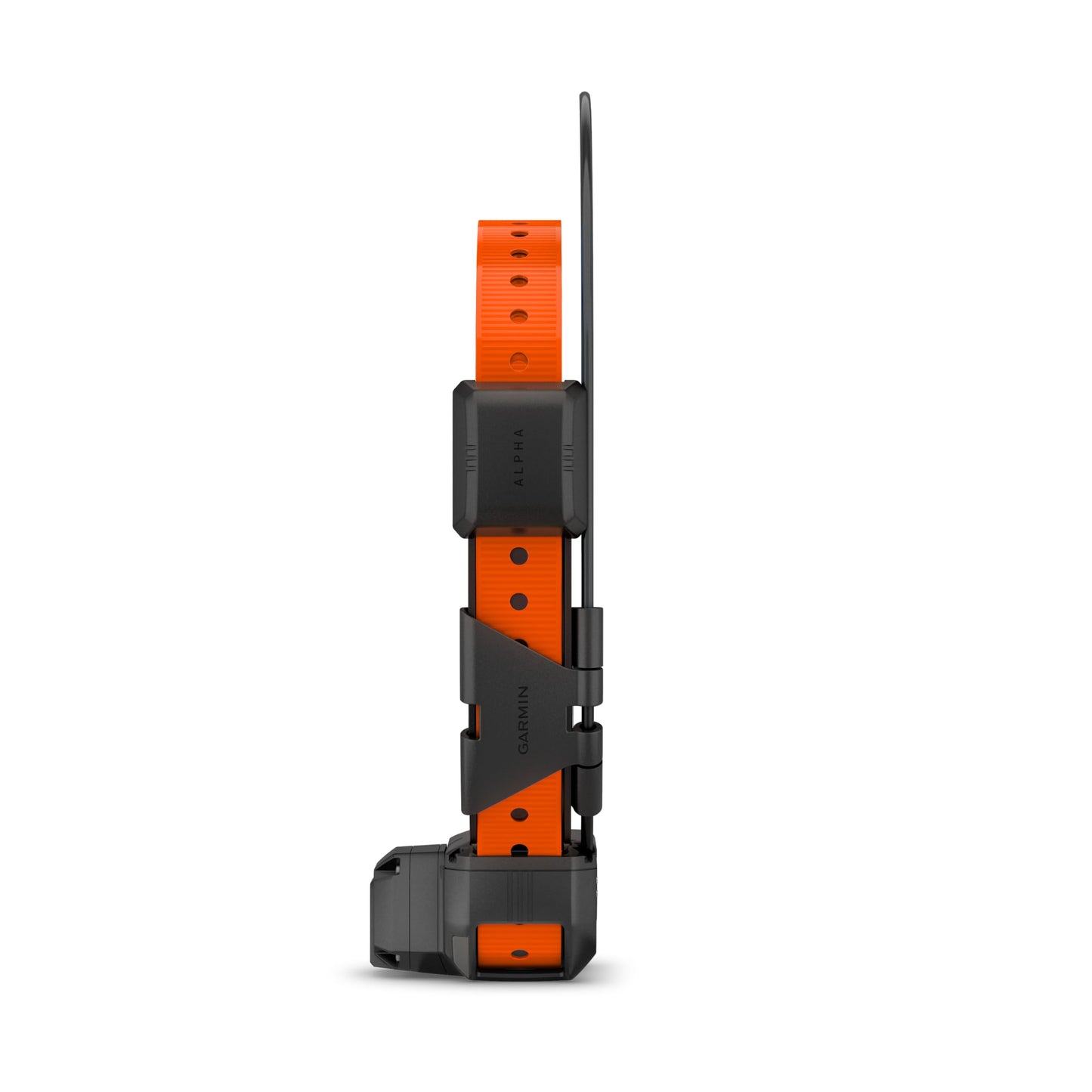 Garmin Alpha® TT 25 Dog Collar with Tracking Beeper