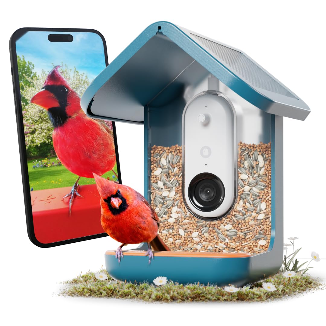 Birdbuddy PRO Solar Smart Bird Feeder with Camera - AI Bird Species Identification, 5MP Photos, 2K HD Video Live Stream Camera, Slow-Motion Video, 2.6in Focus - Blue Solar