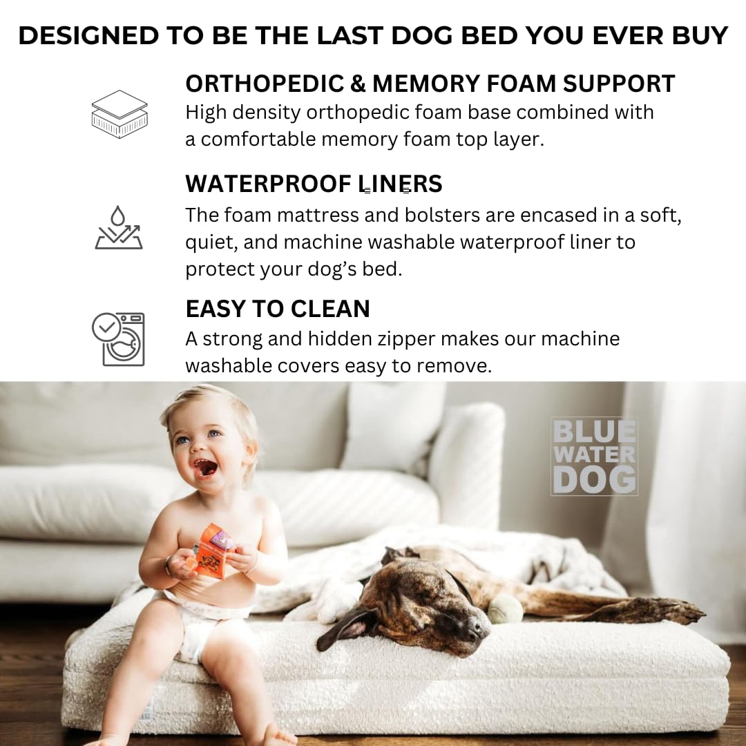 Bluewater Dog Luxury Boucle Orthopedic Memory Foam Dog Bed with Waterproof Liner and Machine Washable Cover with YKK Zippers (Medium 37" L x 30" W x 6" Th, Cloud)