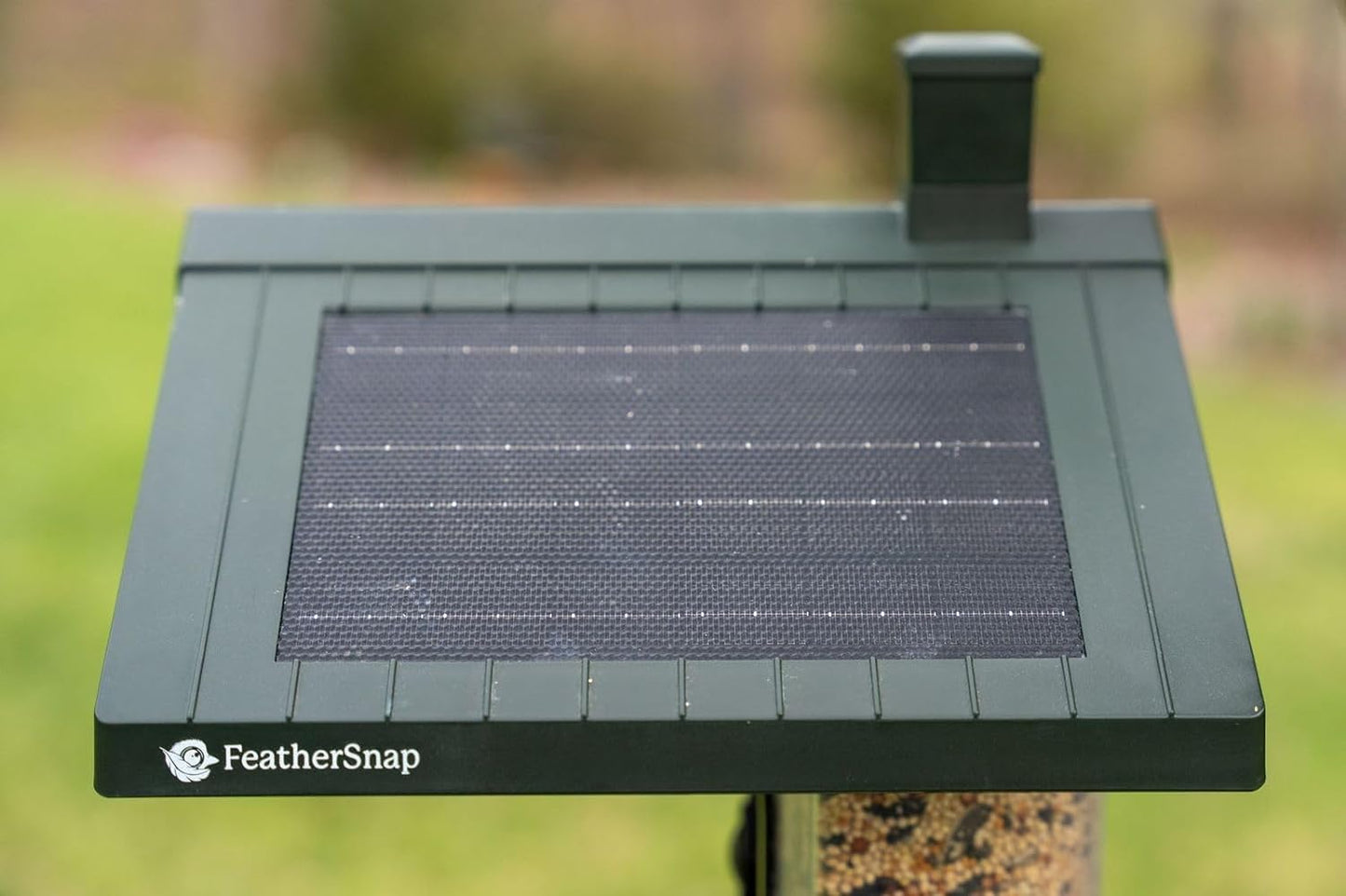 Feathersnap Smart Birdfeeder with AI Identification and Wi-Fi Solar Powered, Captures HD Pictures and Videos Sent Directly to Your Phone (Bird Feeder & Starter Kit)