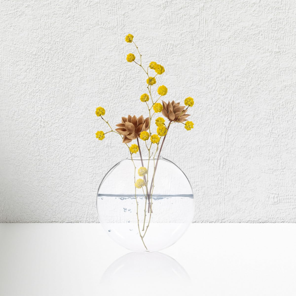 NUOBESTY 4pcs Wall Mounted Glass Plant Pots for Hydroponics, Hanging Terrarium Vases for Indoor Plant Propagation and Home Décor