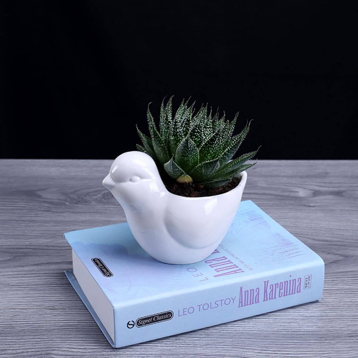 Veemoon Ceramic Succulent Plant Pot White Small Bird Shape Planter for Indoor Desktop Decor Saucer Pottery Flower Container for Home Garden