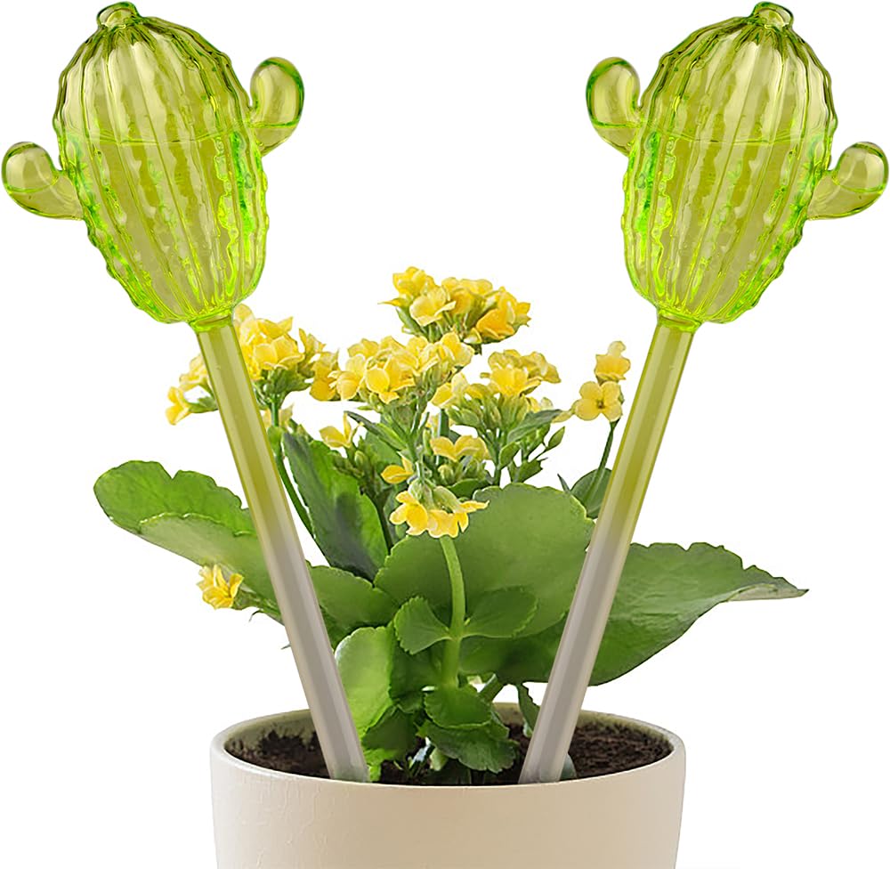 Ahhute Plant Watering Globes, Cactus Self Watering Globes, Glass Self Watering Planter Insert, Cacti Plant Watering Devices, Automatic Plant Waterer Indoor, Watering Bulbs, 2 Pack