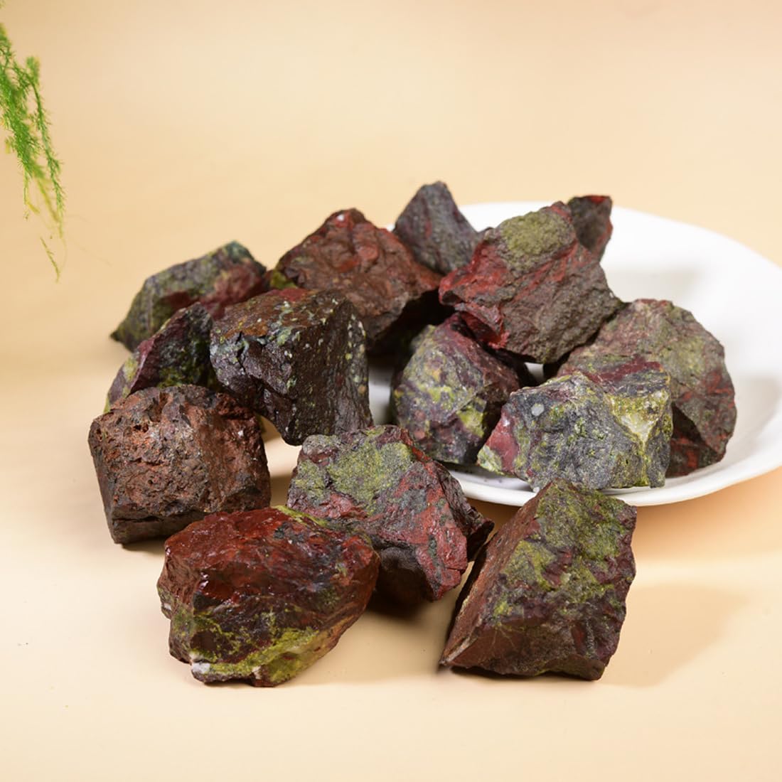 Erliway 1.25-2" Dragon Bloodstone Raw Crystals, Natural Rough Dragon Bloodstone Stone, Healing Raw Stones for Fountain Rock, Home Decor Meditation Energy Balancing Wire Wrapping Wicca & Reiki