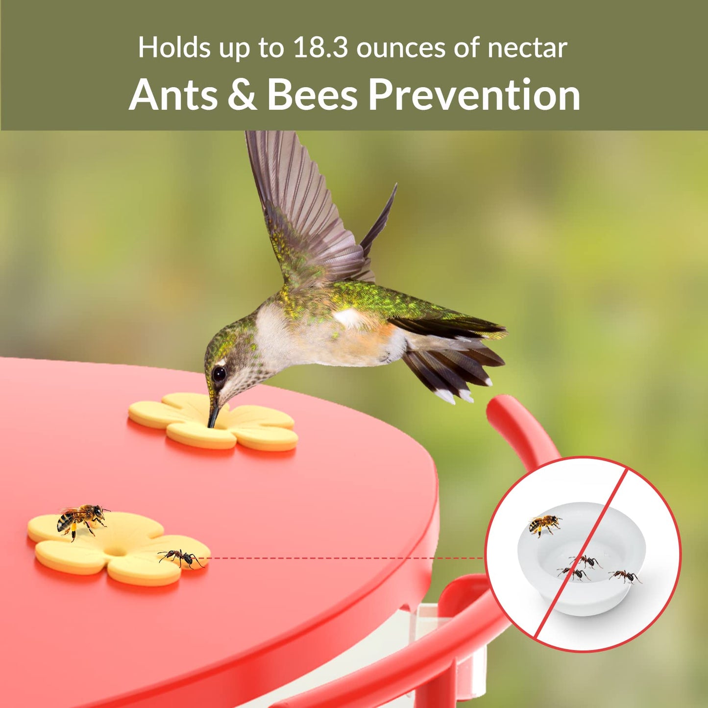 NETVUE by Birdfy Smart Bird Feeder with Camera & Hummingbird Feeder Perch, Attract More Bird Species