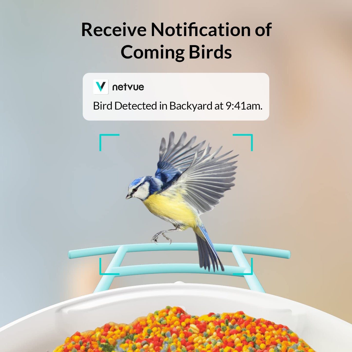 NETVUE by Birdfy Smart Bird Feeder with Camera with Hummingbird Feeder Perch, Attracting More Bird Species