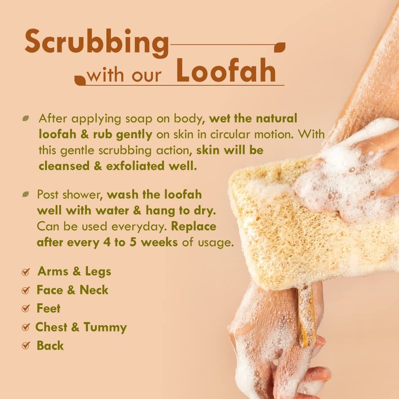 Nat Habit - Back to Natural Secrets Everyday Natural Sun Dried Bath Loofah, Body Sponge & Scrubber for Men & Women, Organic Luffa for Bath Shower Skin Exfoliation 2 Count (Pack of 1) Brown