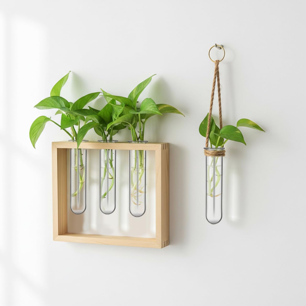 UKCOCO 5Pcs Glass Test Tube Vases 4.33 Inch Clear Propagation Tubes for Plant Cuttings Hydroponic Plant Holders Desktop Floral Arrangement for Home Office Decor