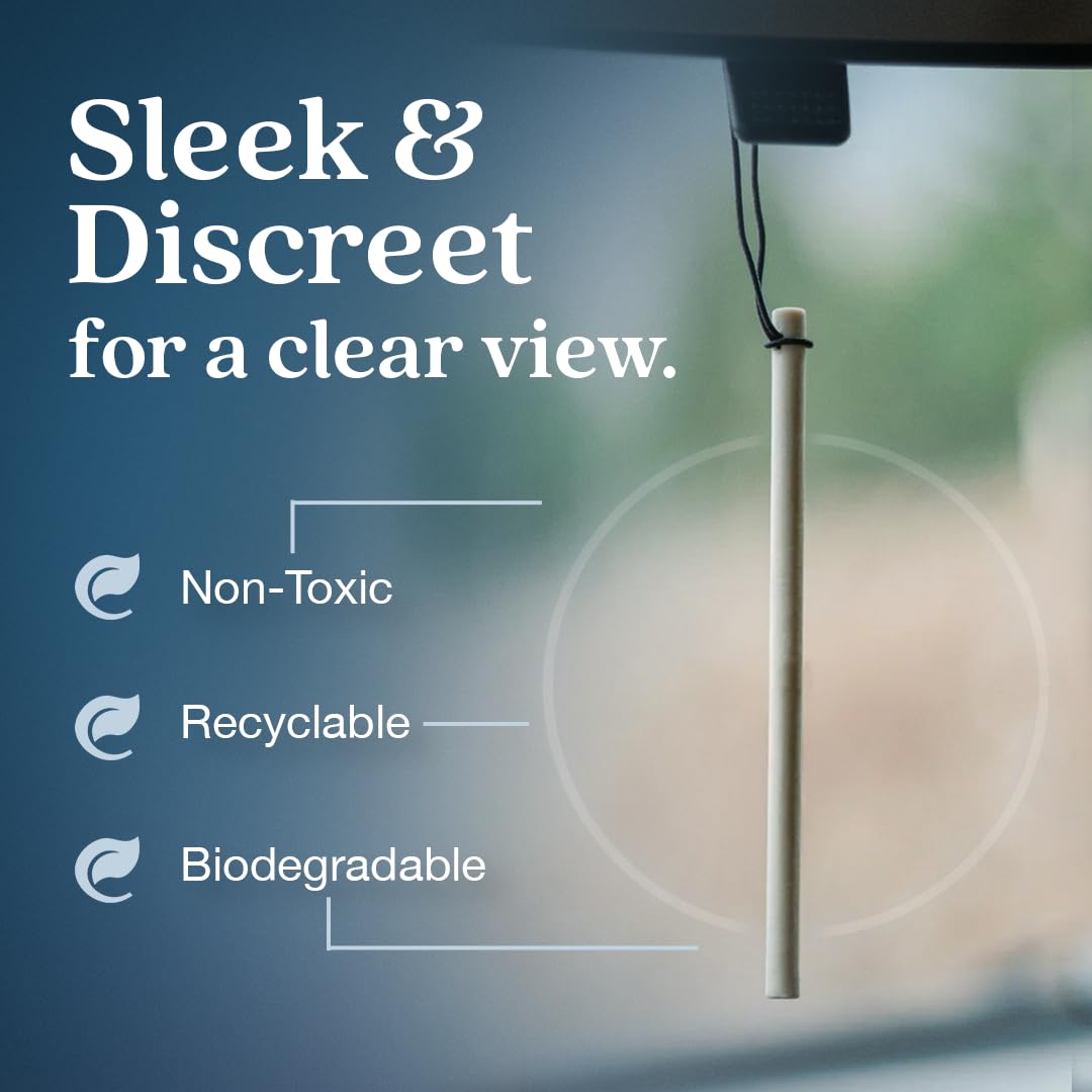 Enviroscent Non-Toxic* Car Air Freshener Auto Stix® - Fragrance Lasts Up to 180 Days - Includes Auto Stix® Diffusers & Elastic Loops - Mother’s Day Gift for Mom - Coastal Storm & Teakwood (Pack of 3)