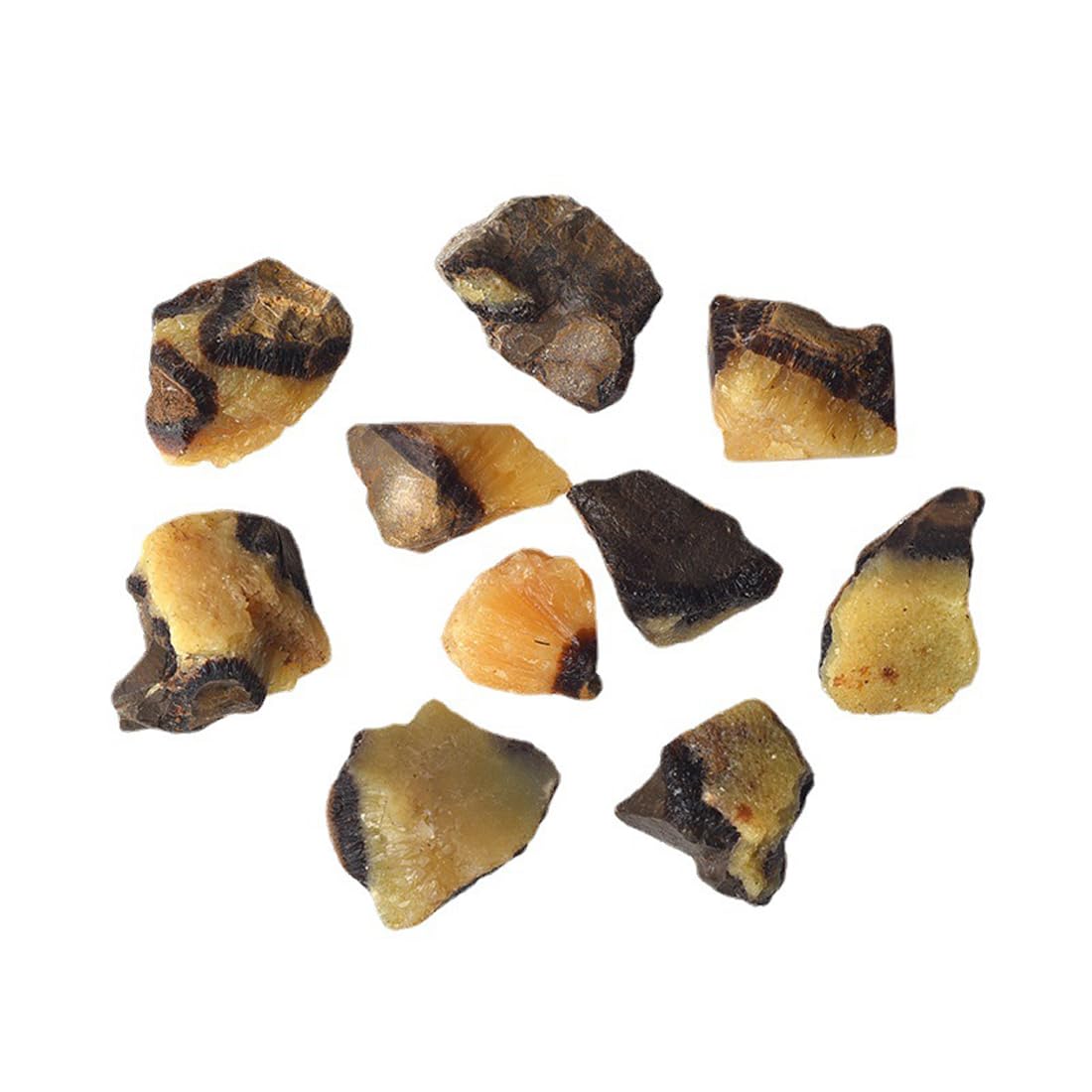 Septarian Raw Crystals, Large 1.25-2.0" Healing Crystals Natural Rough Stones Crystal for Tumbling, Cabbing, Fountain Rocks, Decoration, Polishing, Wire Wrapping, Wicca & Reiki