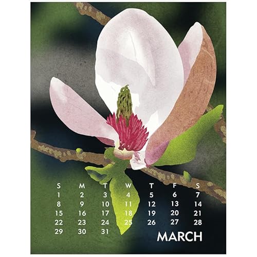 Linnea Design 2026 Desktop Calendar 5 x 7" Artwork by Johanna Riley