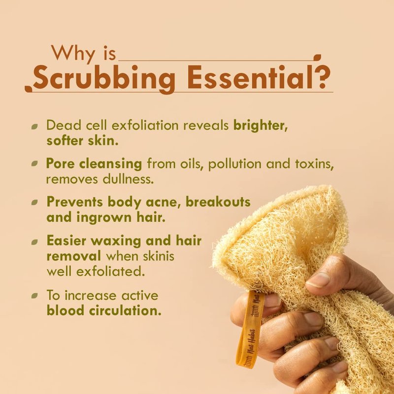 Nat Habit - Back to Natural Secrets Everyday Natural Sun Dried Bath Loofah, Body Sponge & Scrubber for Men & Women, Organic Luffa for Bath Shower Skin Exfoliation 2 Count (Pack of 1) Brown