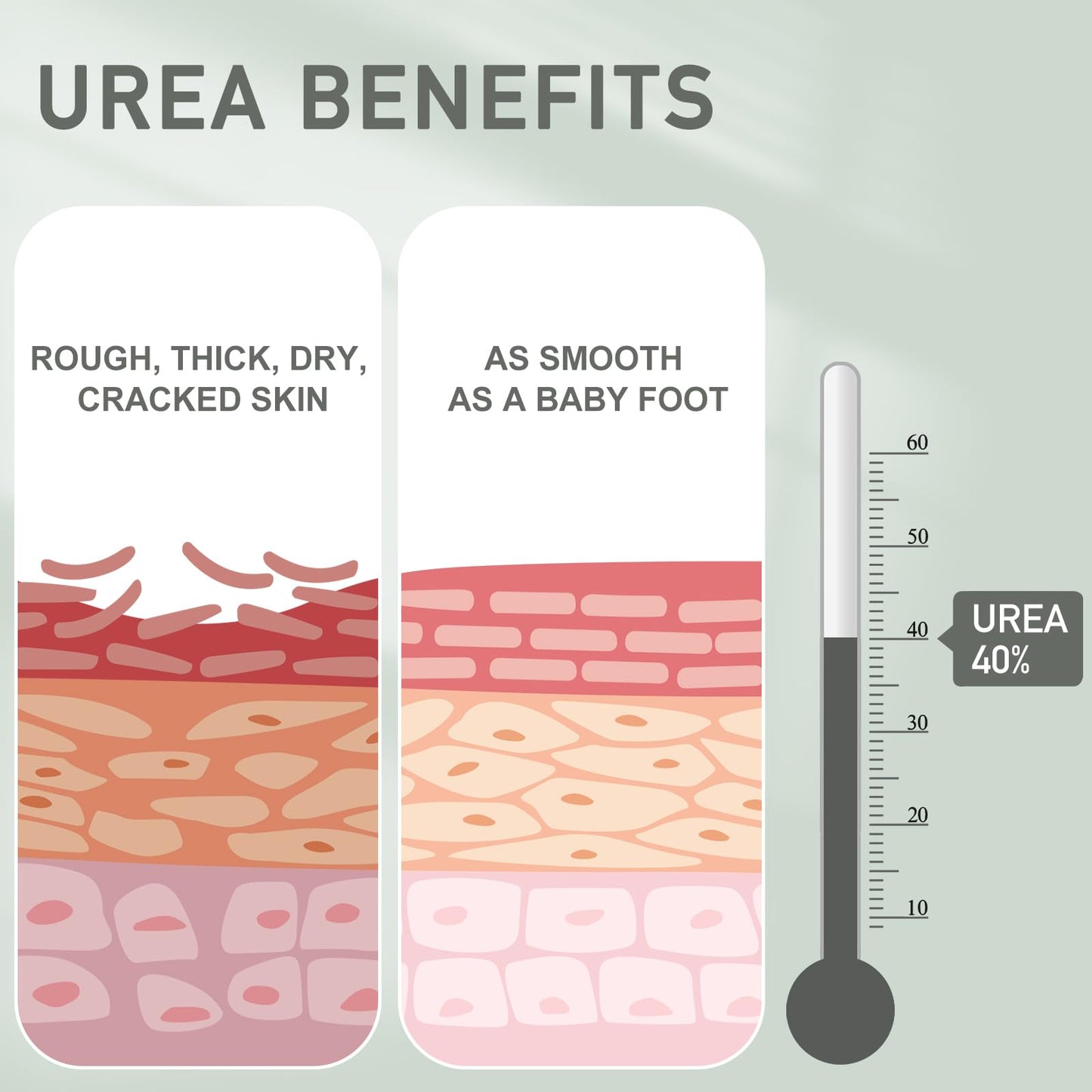 Mouriven 3 Packs Urea Cream 40 Percent - Foot & Hand Cream, for Dry, Cracked Heels, Feet, Knees, Elbows, and Hands, Callus Remover, Maximum Strength Urea Lotion for Softening and Moisturizing
