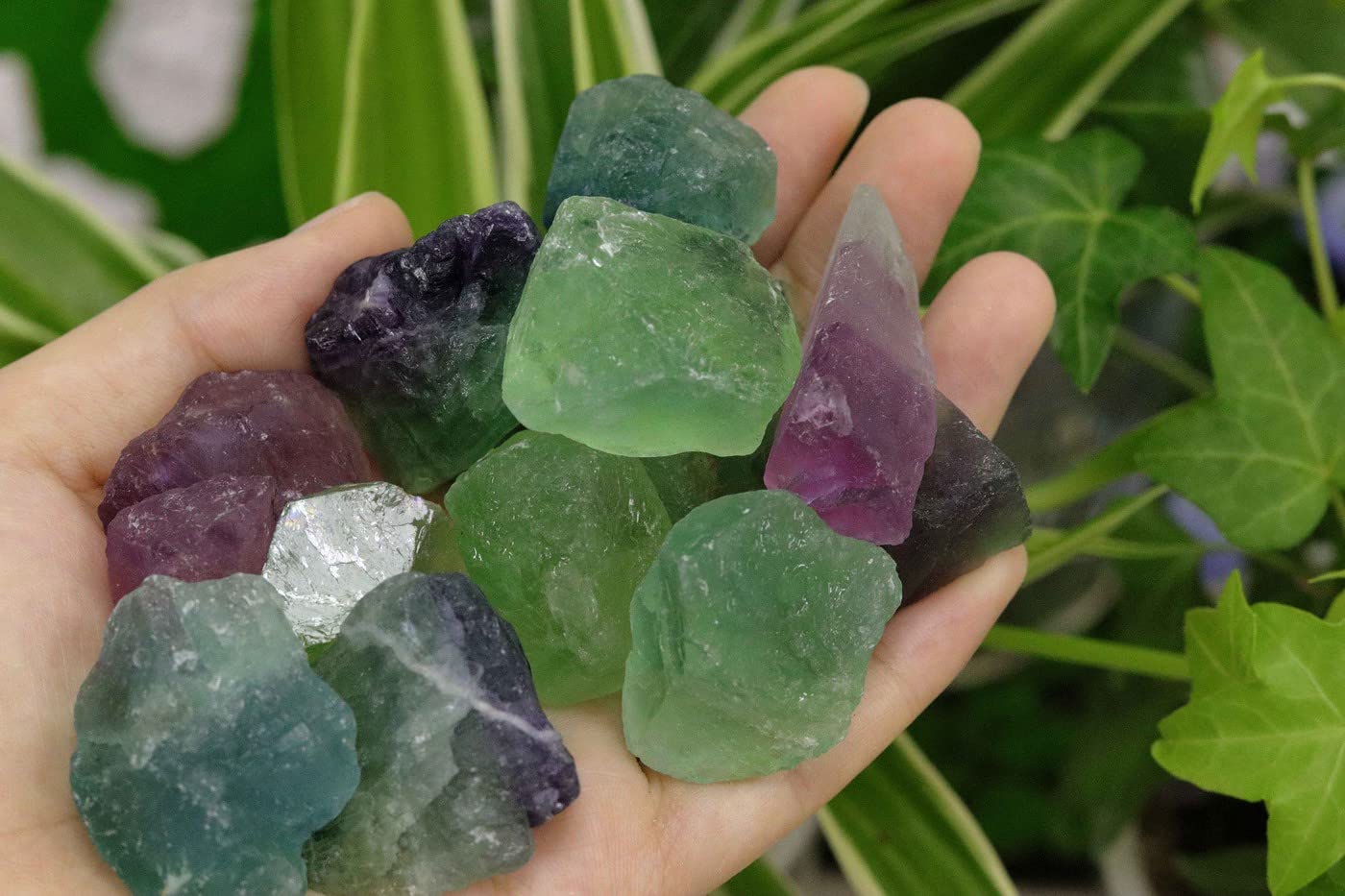 Fluorite Bulk Natural Healing Crystals Raw Rough Stones Sets for Cabbing Tumbling Cutting Lapidary Polishing Reiki Crytsal Healing Wire Wrapping Decoration Gemstone 0.45lb