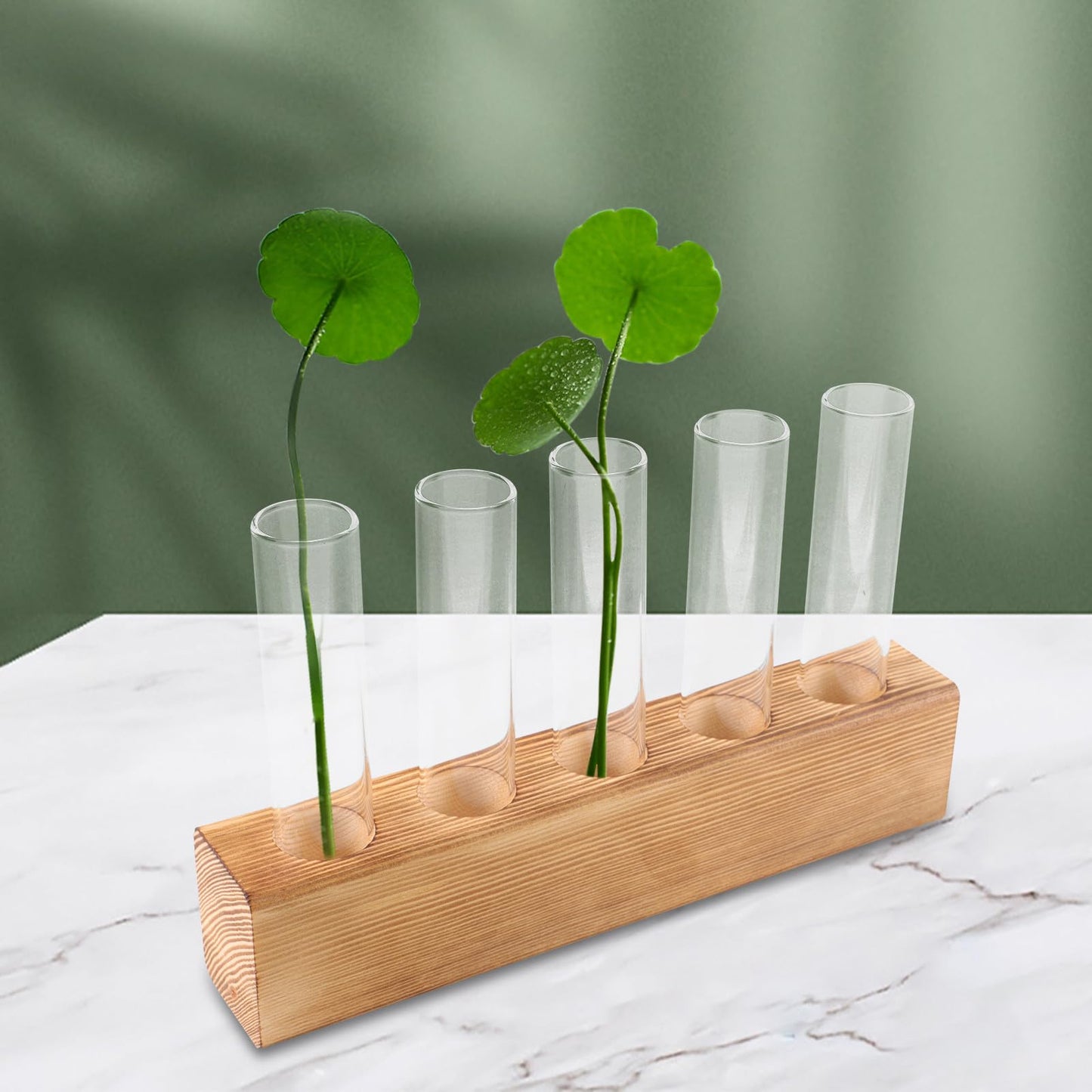 PATKAW Glass Hydroponic Plant Vase with 5-Hole Wooden Stand, Tabletop Test Tube Planter for Home Décor, Succulent Terrarium and Air Plant Propagation Station