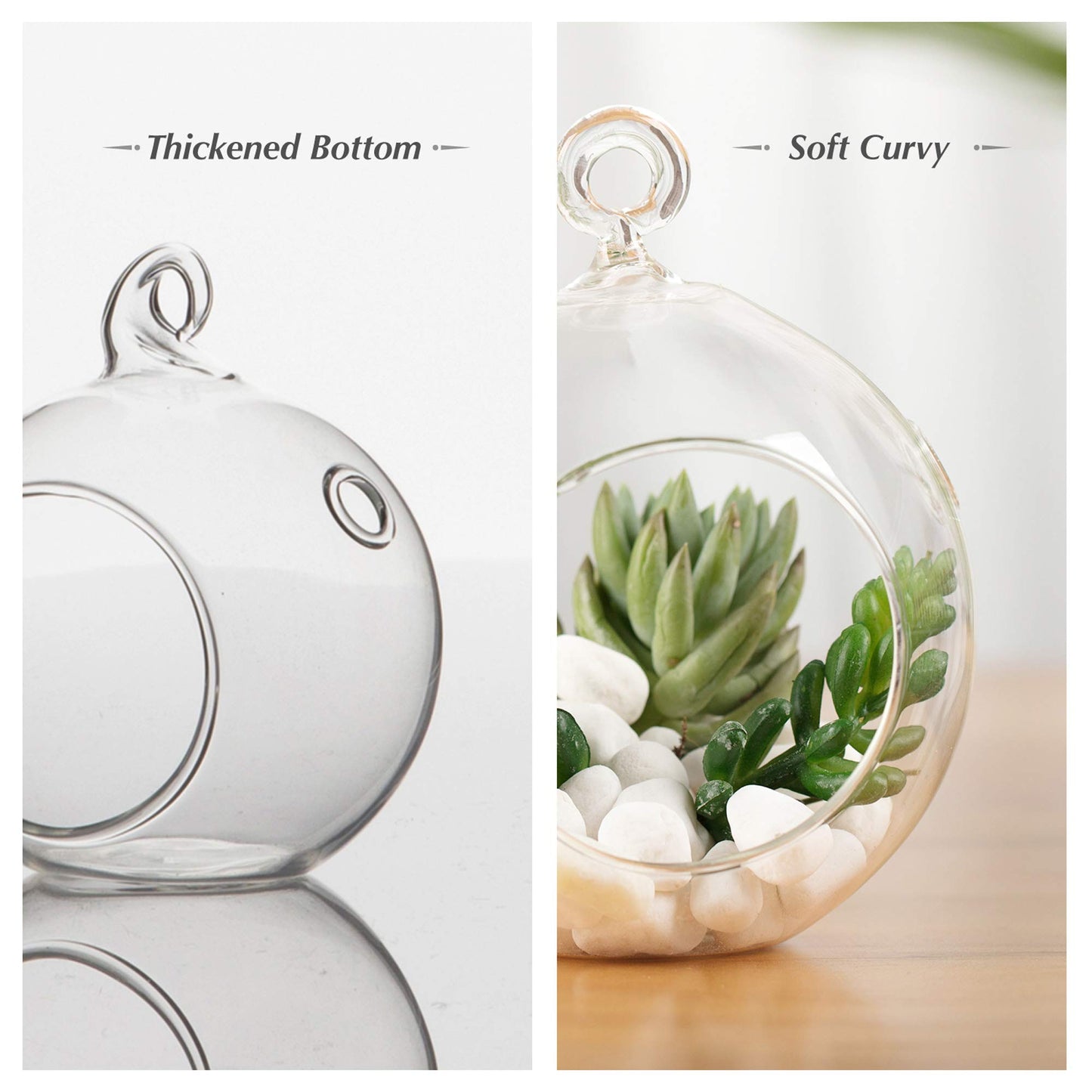 WGVI WGV Hanging Terrarium Globe, Width 6", Height 6.5", DIY Air Succulent Planter, Clear Glass Vase Orb with Flat Bottom, Candle Holder for Windowsill Outdoor Garden Decor, 1 Piece
