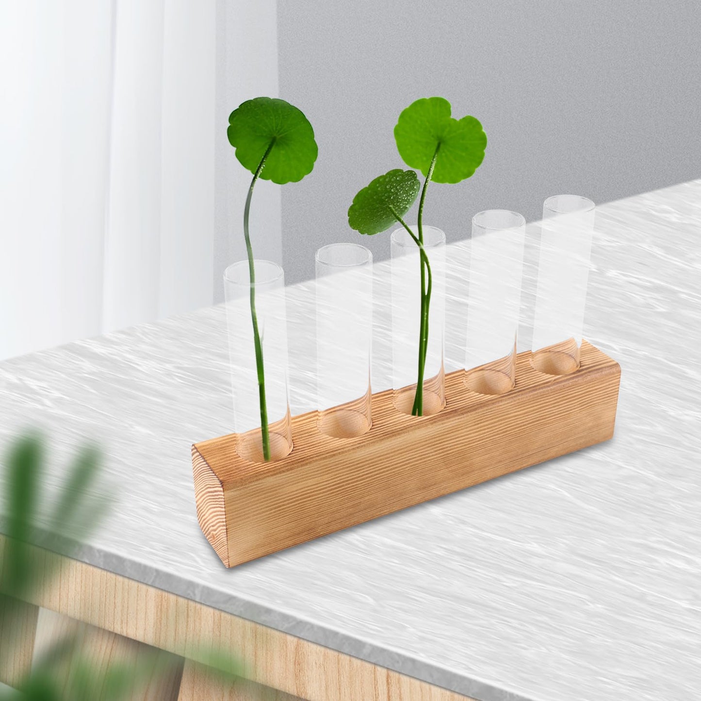 BESPORTBLE Desktop Hydroponic Glass Vase with 5-Hole Wooden Stand for Indoor Plant Propagation and Tabletop Terrarium Centerpiece