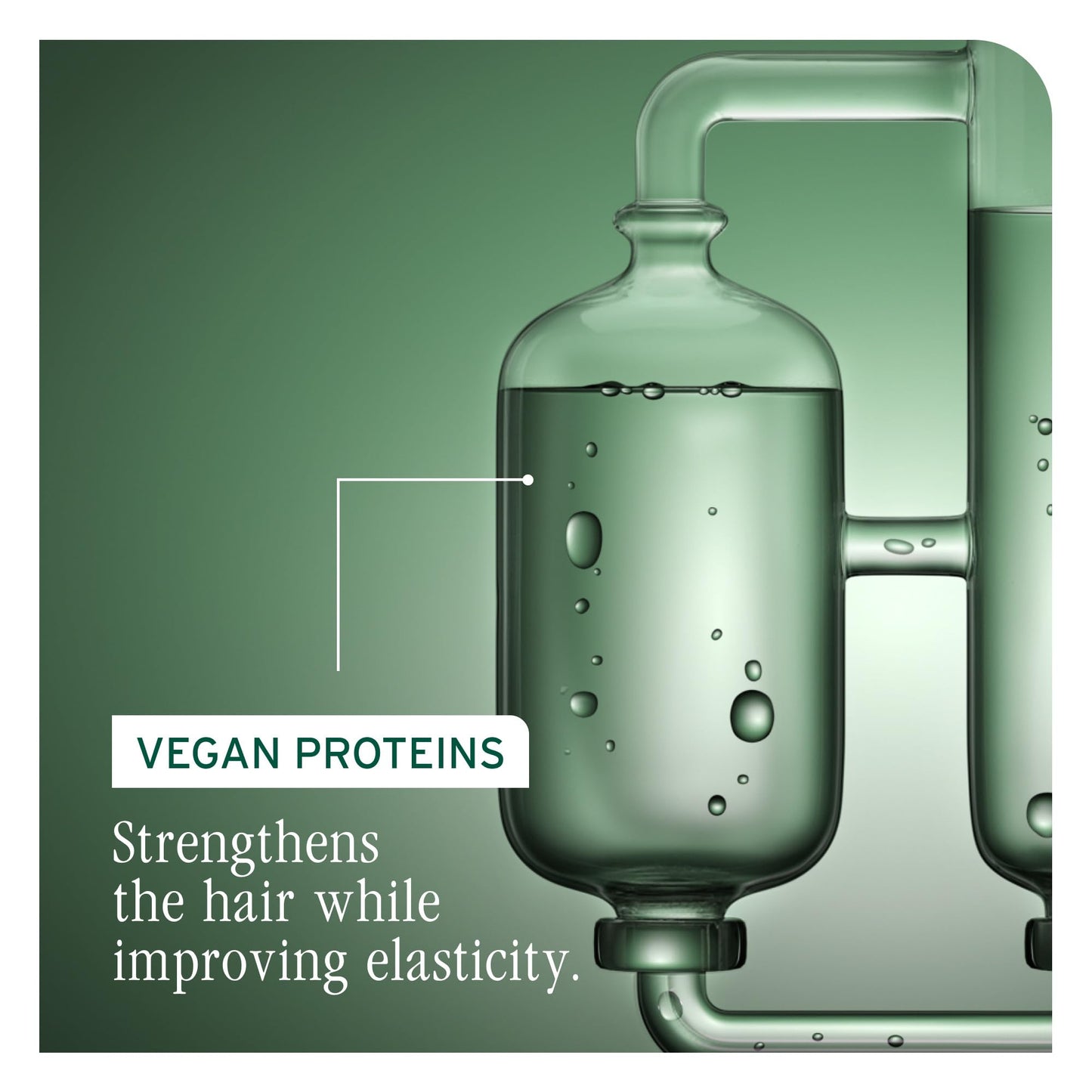 Biolage Strength Recovery Conditioner - Moisturizes & Strengthens Damaged Hair, Softness & Shine, Olive Squalane & Vegan Proteins, Paraben-Free, Vegan