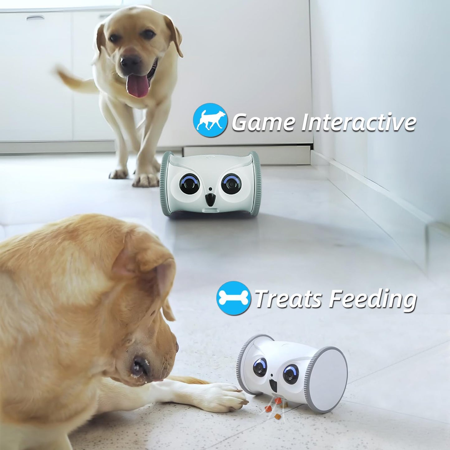 SKYMEE Owl Robot: 1080P Full HD Pet Camera with Treat Dispenser, Interactive Toy for Dogs and Cats, Full House Mobile Monitoring via App,2 Way Talk,No Monthly Fee (Only 2.4G WiFi)