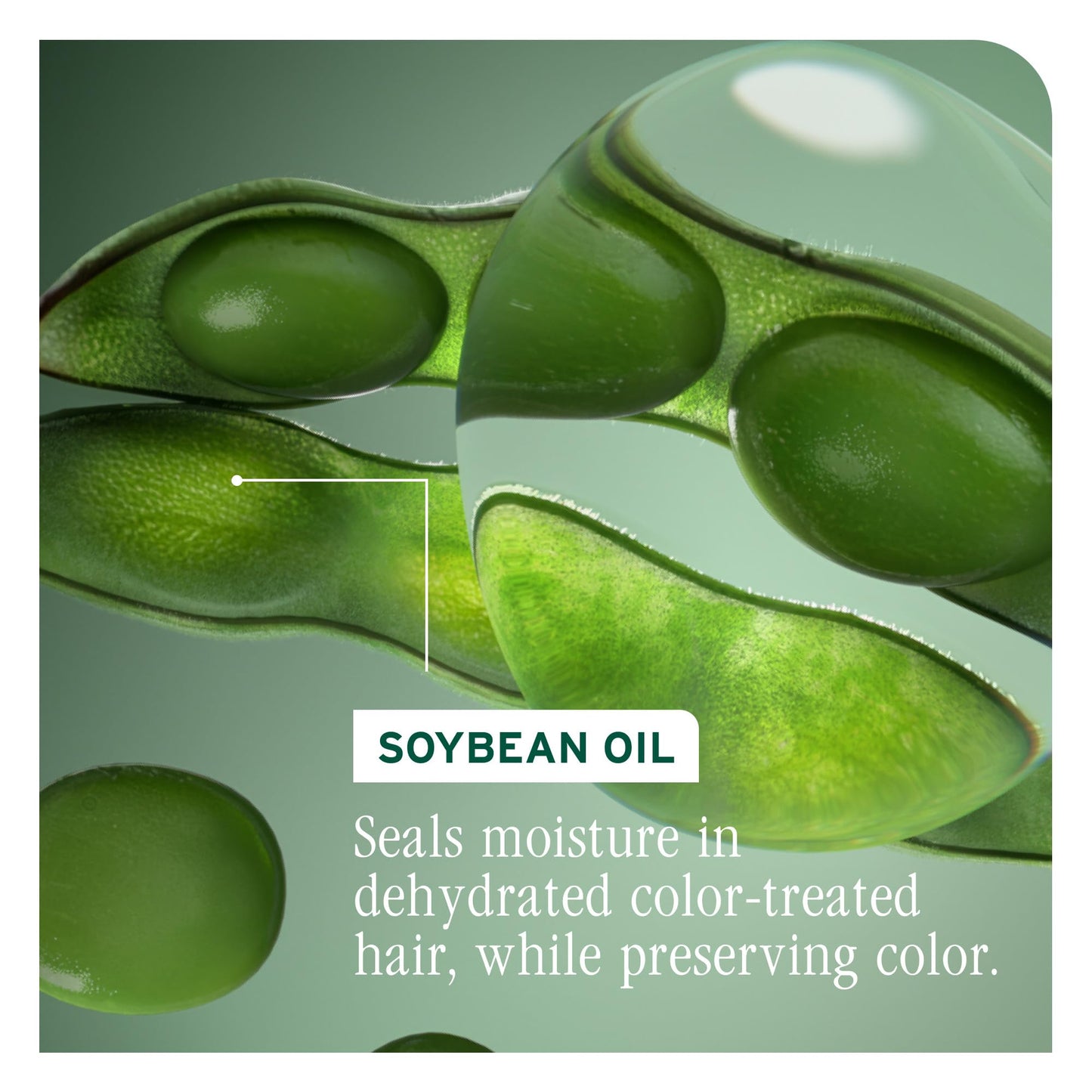 Biolage Color Last Conditioner and Refill Conditioner Set - Protects & Preserves Color Treated Hair, Adds Shine, With Soybean Oil & Stearic Acid, Paraben & Mineral Oil-Free