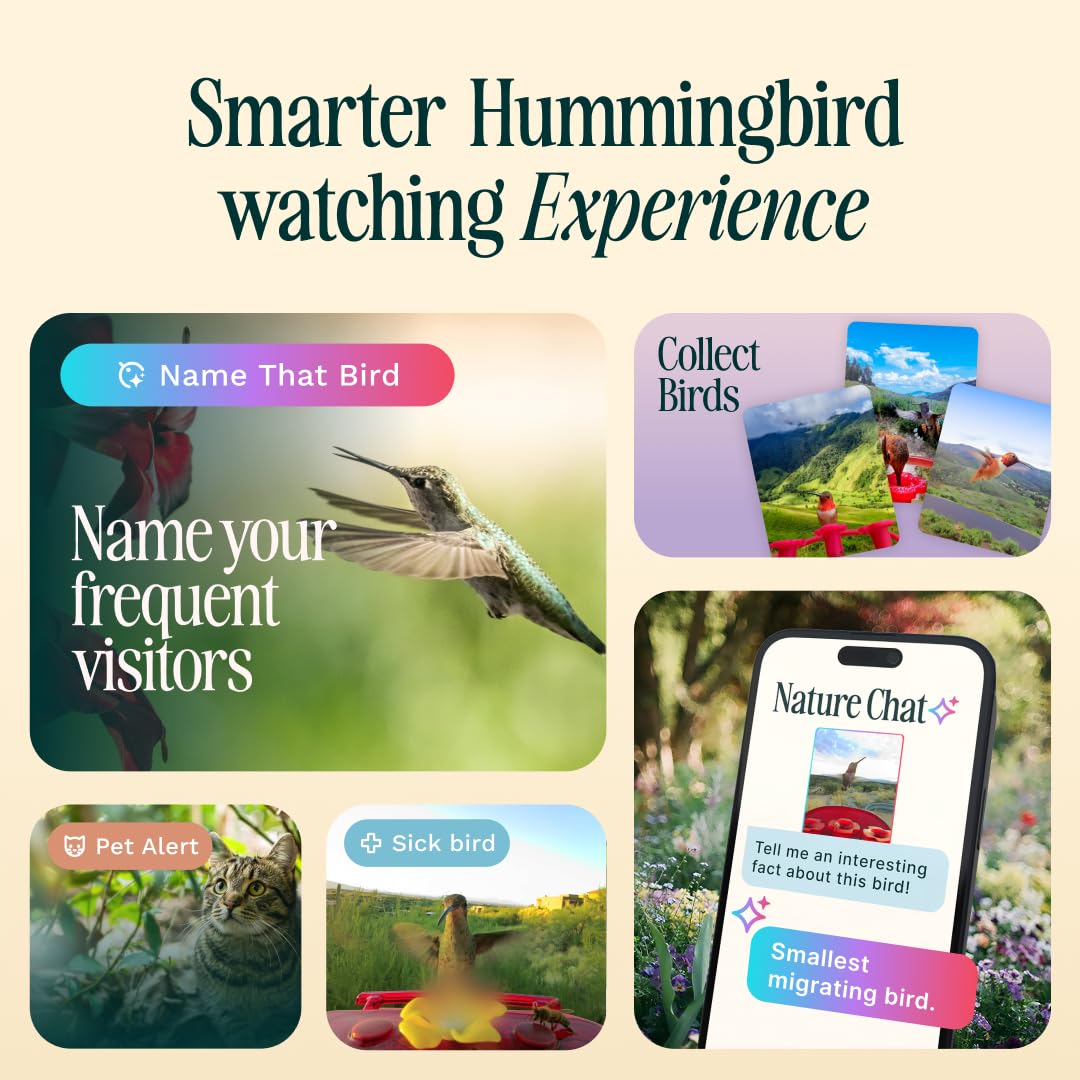 Birdbuddy Smart Non-Solar Pro Hummingbird Feeder with Camera - AI Bird Identification, 2K Video, 5MP Photos, Outdoor Hanging, Gift for Bird Watching