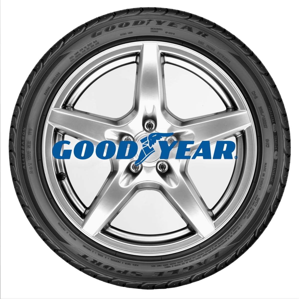 Goodyear Eagle Sport All-Season Tire, 205/55R16, Set of 1
