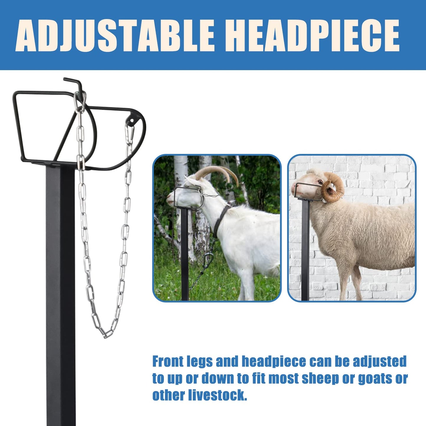 Belinova Goat Milking Stand 600Lbs Goat Stand Sheep Stand for Trimming Metal Livestock Stand with Adjustable Headpiece Goat Shearing Livestock Stand Height Adjustable, Black
