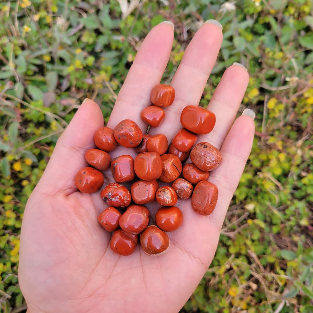 1,000 Carats Red Jasper Handpicked Tumbled Stones Crystals Chips 0.3''-0.5'' Bulk Pocket Stones for Healing, Reiki, Meditation, Witchcraft and Home Decorations (Red Jasper)