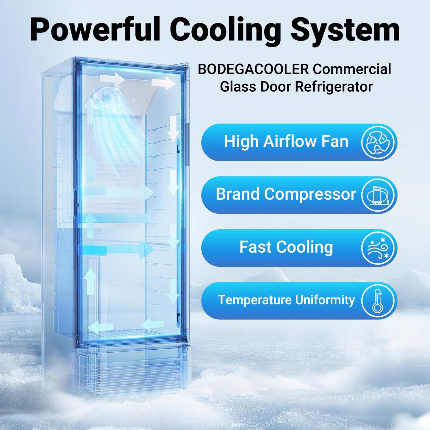 BODEGACOOLER 11.5 Cu.Ft. Commercial Merchandiser Refrigerators, Adjustable shelves & Automatic Defrost, Commercial Beverage Refrigerator Glass Door For Drink, Soda, Garage, Gym, Man cave, Shop, Office