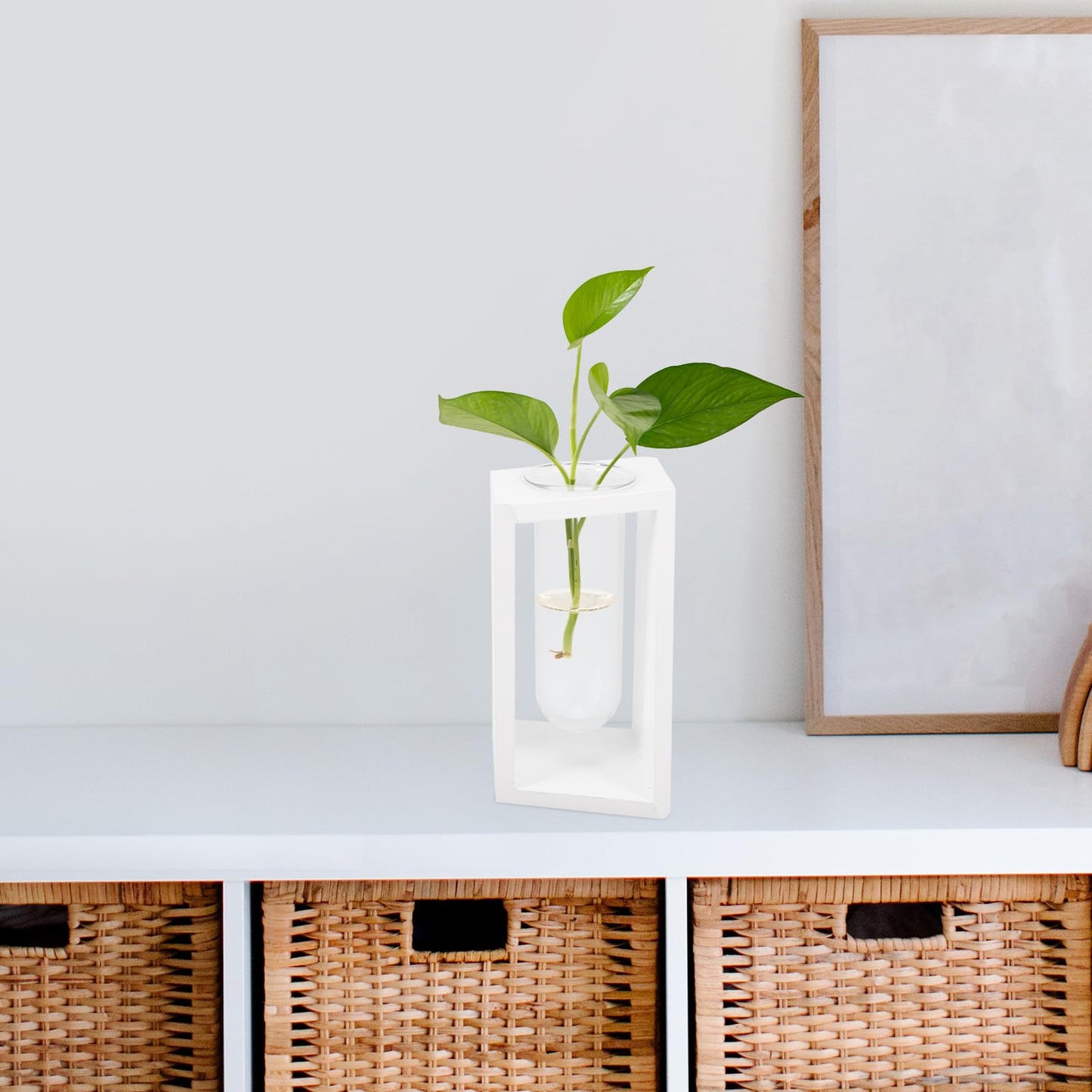 DIYEAH Glass Test Tube Propagation Station with White Wooden Holder, Hydroponic Flower Vase for Indoor Plant Terrarium and Water Propagation, Decorative Home Garden Container
