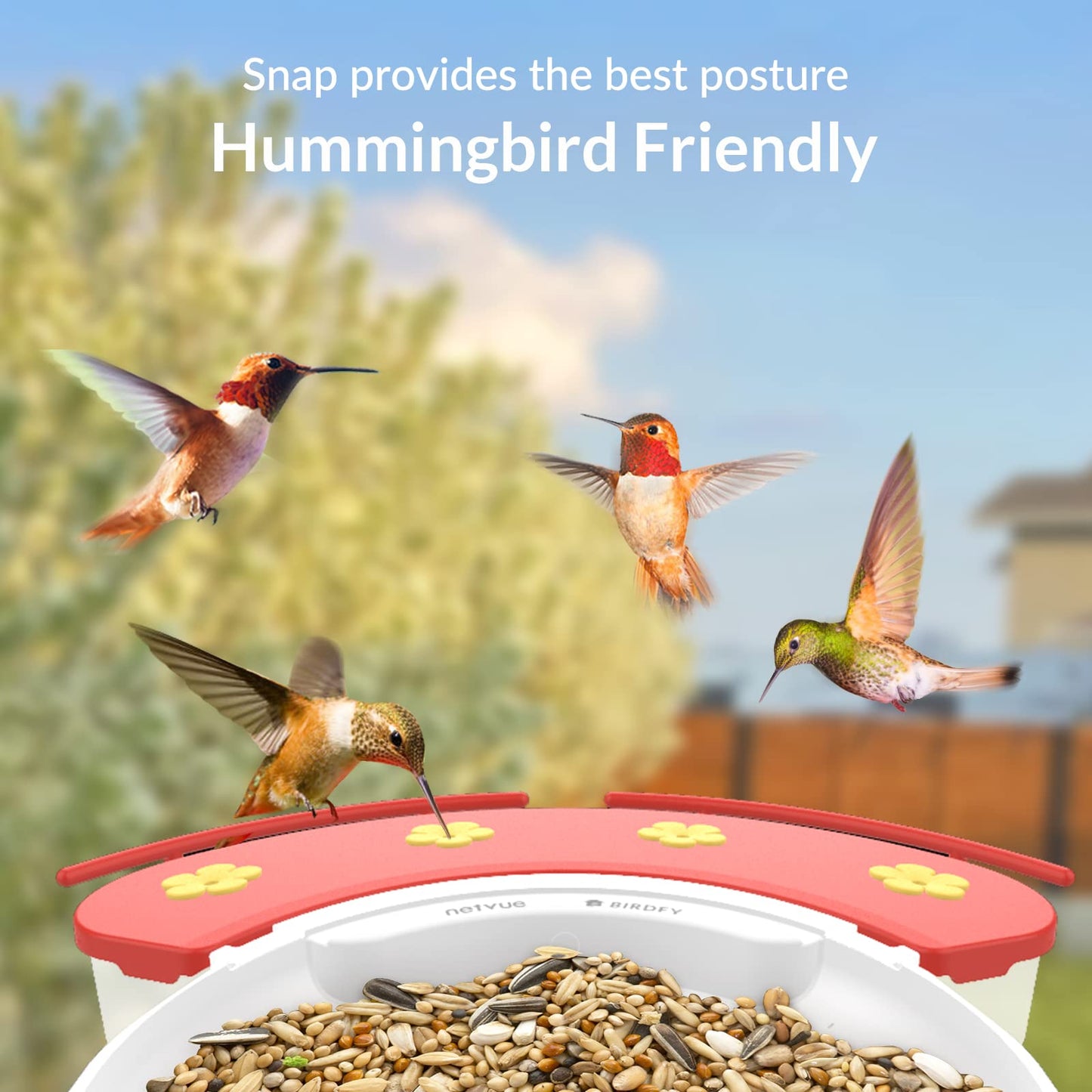 NETVUE by Birdfy Smart Bird Feeder with Camera & Hummingbird Feeder Perch, Attract More Bird Species