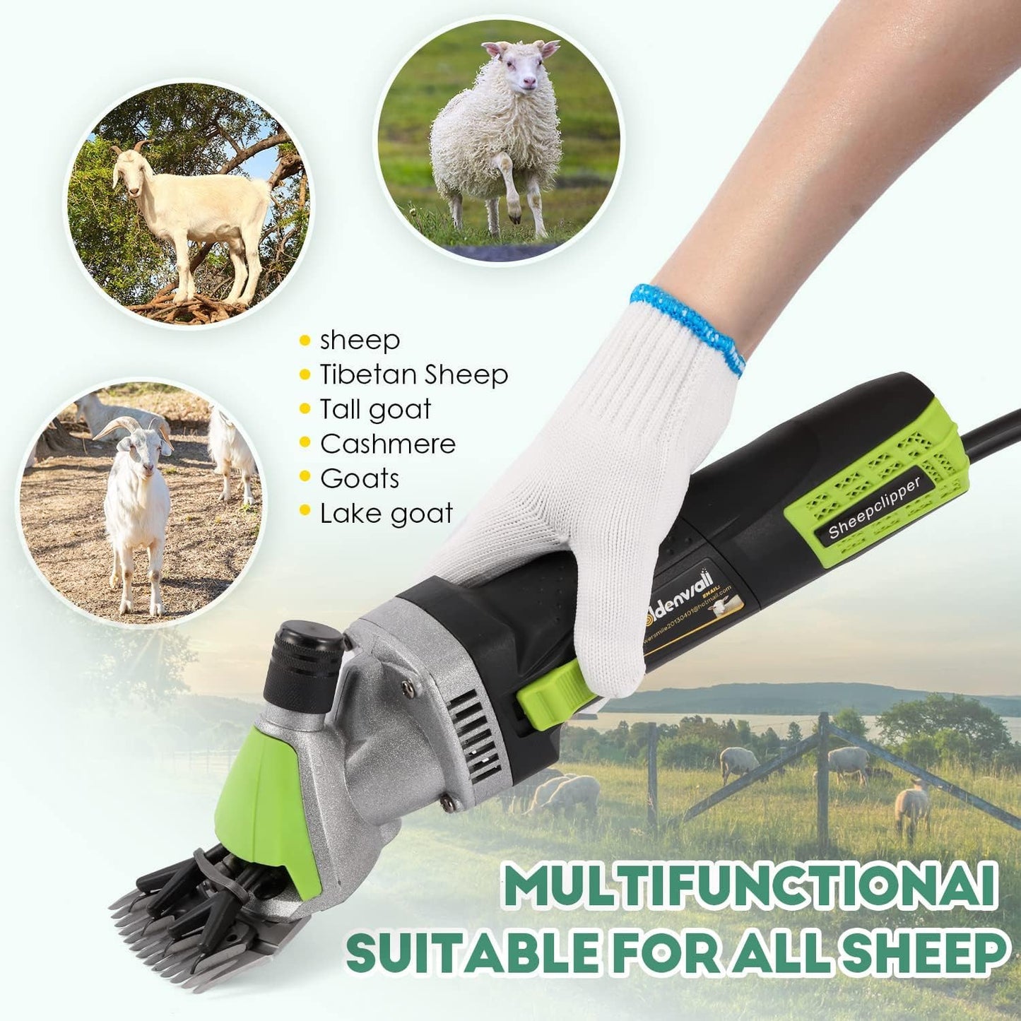 CGOLDENWALL 850W Sheep Shears Electric Sheep Clipper for Grooming Professional Heavy Duty Shearing Clipper with 6 Speed & Blade Tightness Adjustment- 110V (13 Straight Teeth Blade)