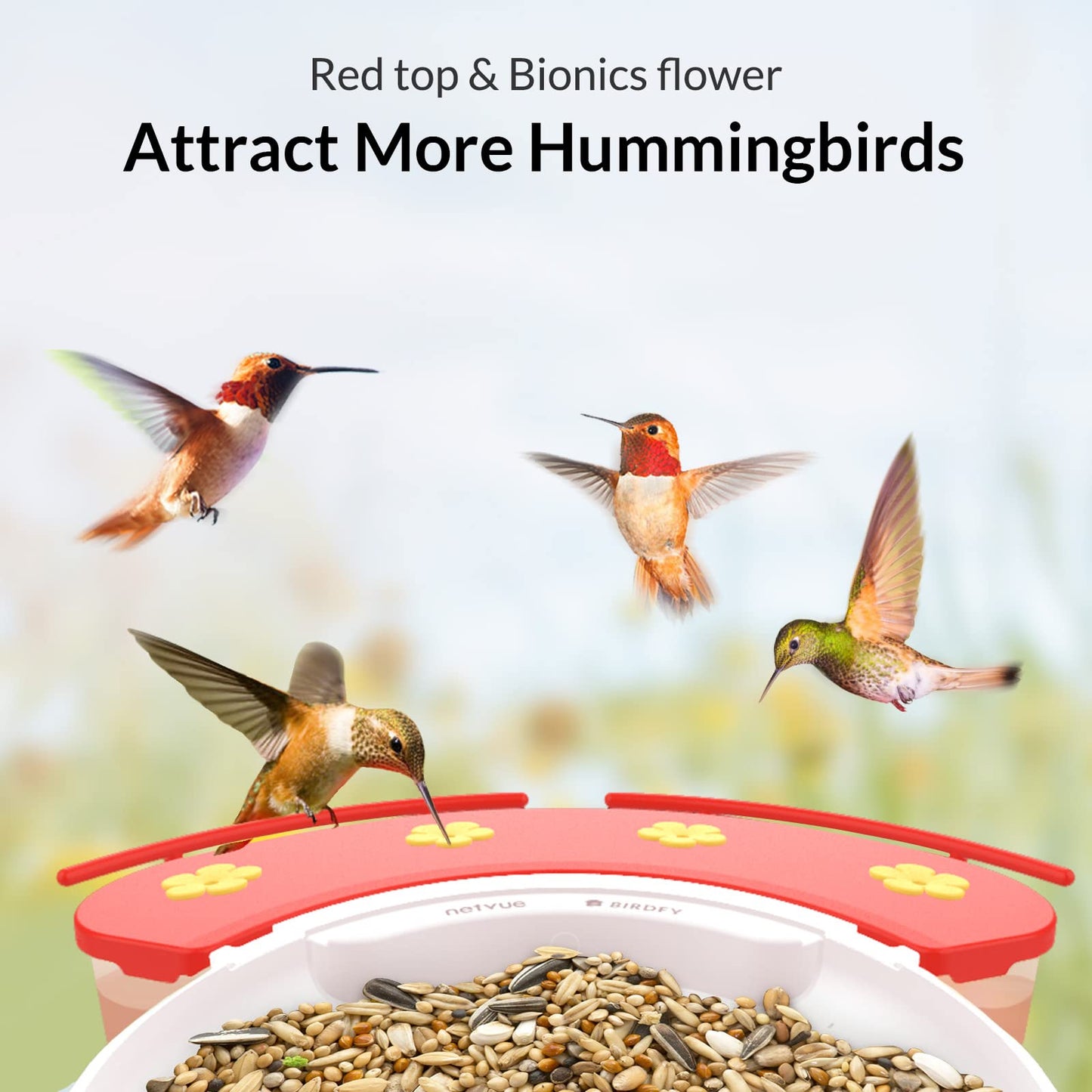 NETVUE Birdfy Camera with Birdfy Hummee Camera, Smart Bird Feeder with Camera, Auto Capture Bird Videos & Birdwatching Up-Close, 2in1 Feeders Attract More Hummingbirds, Ideal Gift