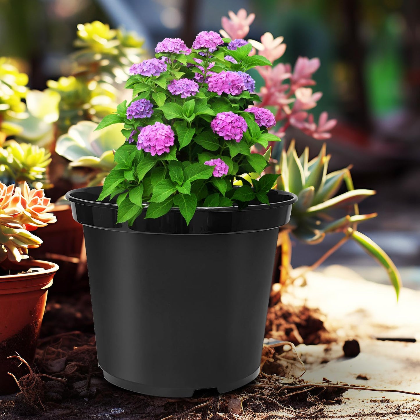 RooTrimmer 3 Gallon Plastic Nursery Pots, 10 Inch Round Plant Pots with Drainage Holes, 10 Pack Planting Pot for Outdoor Indoor Plants, Gardening Gifts for Women, Black