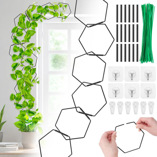 Hysagtek Chain Trellis for Climbing Plants Indoor & Outdoor, 18 Pcs Plant Trellis with Connect-Hooks, No-Trace Nails & Wire Ties, DIY House Plant Accessories for Monstera, Pothos, Ivy, Wisteria