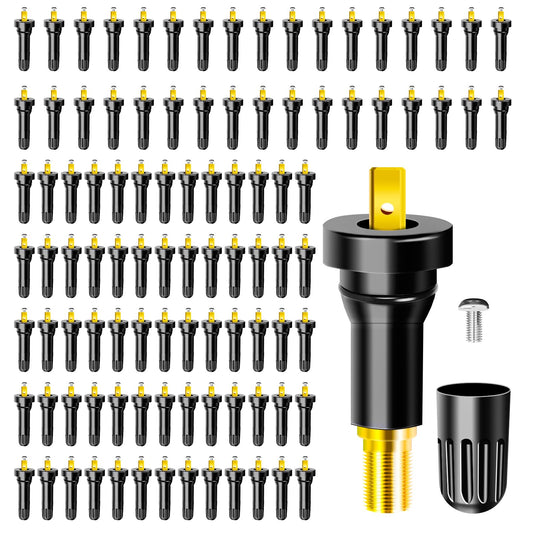 TPAIERR 100Pcs 17-20008 TPMS Valve Stem, OE 20008 Rubber Snap-in Vehicle Tire Pressure Sensor Valves Stems Cap Compatible with Ford/Chevrolet/Chevy/Chrysler/Dodge/Buick Ram/Cadillac/Subaru/Lincoln